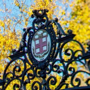 Brown shield.